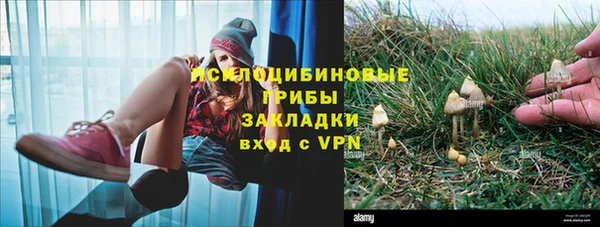 индика Алексеевка