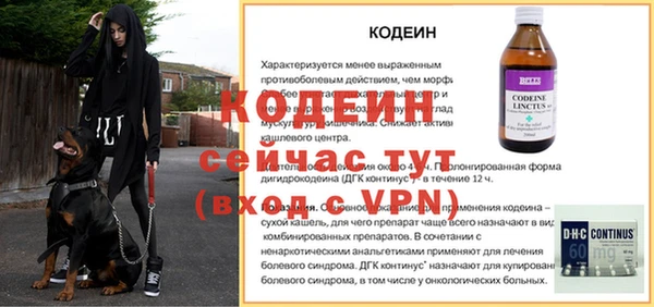 дживик Арсеньев